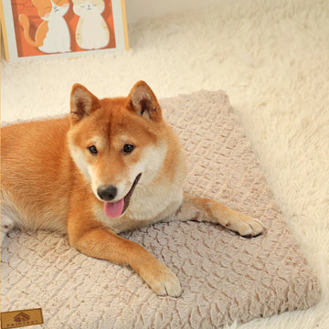 Memory Foam Orthopedic Pet Bed with Washable Cover